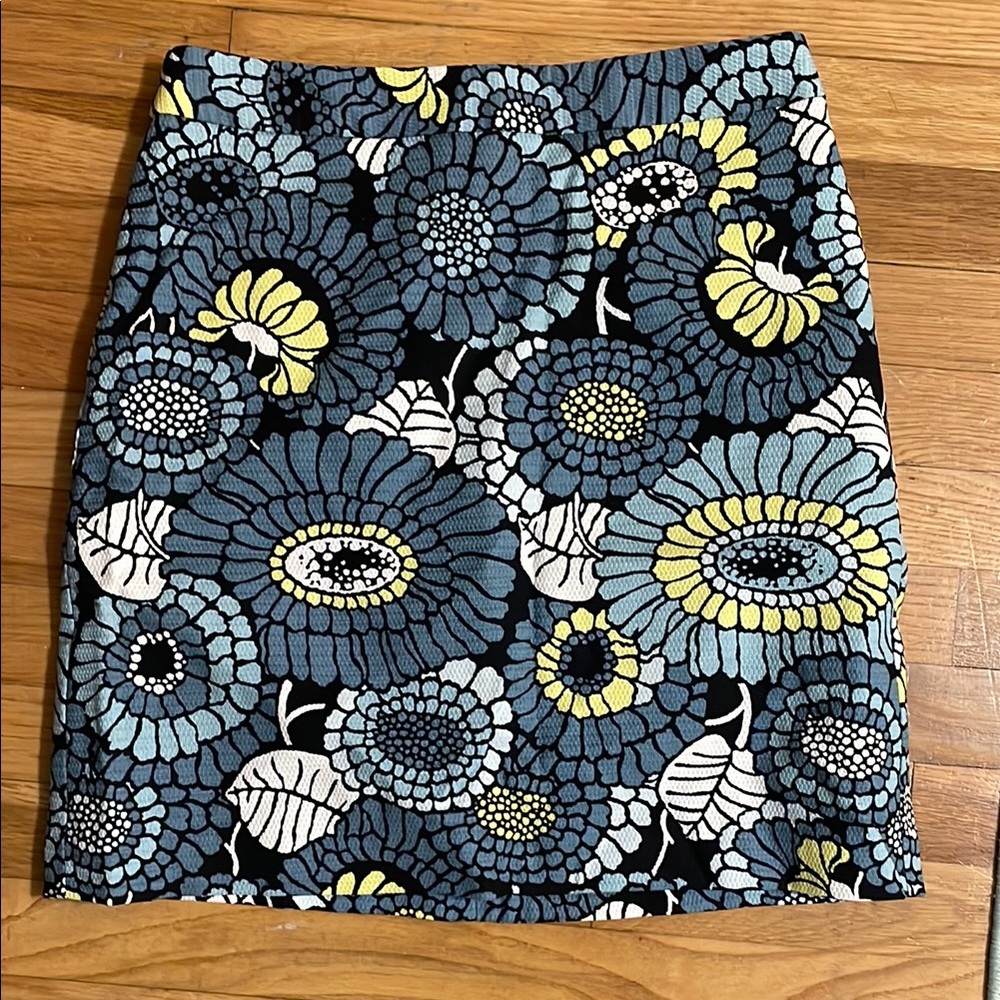 Ann Taylor skirt